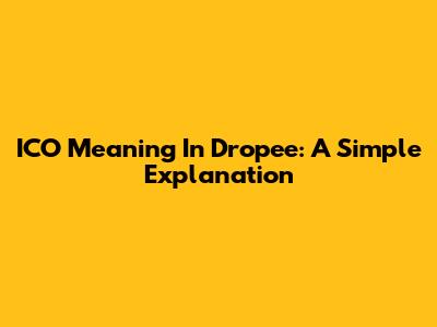 ICO Meaning In Dropee: A Simple Explanation