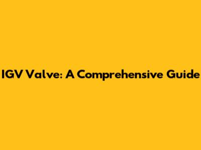 IGV Valve: A Comprehensive Guide