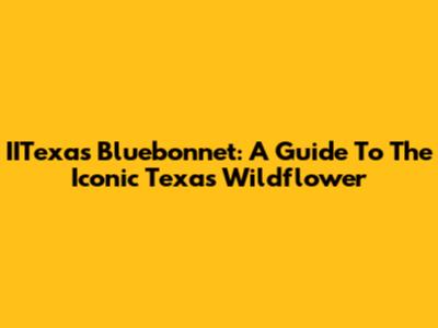 IITexas Bluebonnet: A Guide To The Iconic Texas Wildflower