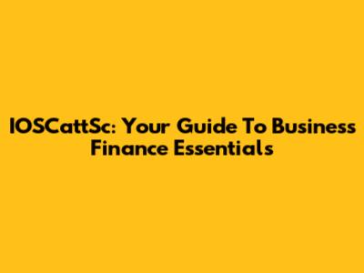 IOSCattSc: Your Guide To Business Finance Essentials