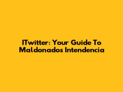 ITwitter: Your Guide To Maldonado's Intendencia
