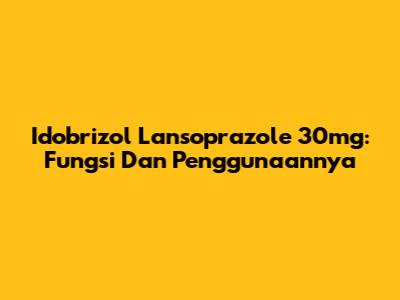 Idobrizol Lansoprazole 30mg: Fungsi Dan Penggunaannya
