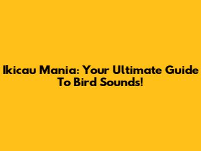 Ikicau Mania: Your Ultimate Guide To Bird Sounds!