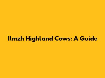 Ilmzh Highland Cows: A Guide