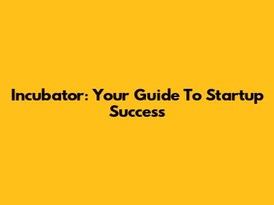 Incubator: Your Guide To Startup Success