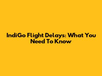 IndiGo Flight Delays: What You Need To Know