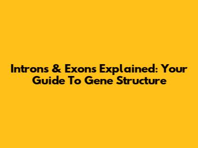 Introns & Exons Explained: Your Guide To Gene Structure