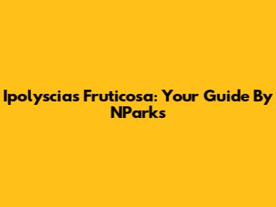 Ipolyscias Fruticosa: Your Guide By NParks