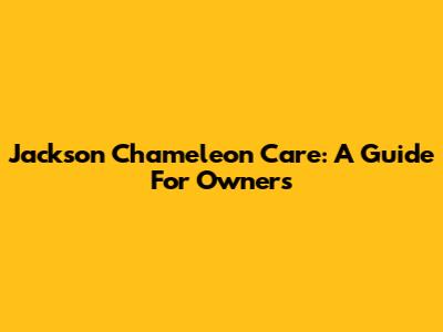 Jackson Chameleon Care: A Guide For Owners