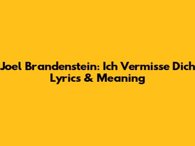 Joel Brandenstein: Ich Vermisse Dich Lyrics & Meaning