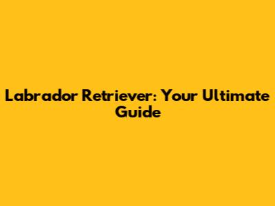Labrador Retriever: Your Ultimate Guide
