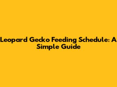 Leopard Gecko Feeding Schedule: A Simple Guide