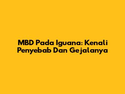 MBD Pada Iguana: Kenali Penyebab Dan Gejalanya