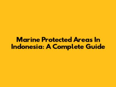 Marine Protected Areas In Indonesia: A Complete Guide