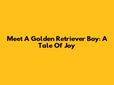 Meet A Golden Retriever Boy: A Tale Of Joy