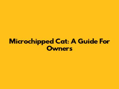 Microchipped Cat: A Guide For Owners