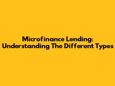 Microfinance Lending: Understanding The Different Types