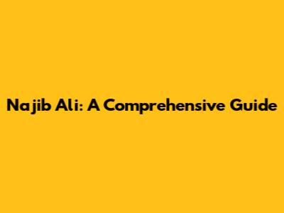 Najib Ali: A Comprehensive Guide