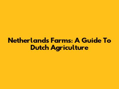 Netherlands Farms: A Guide To Dutch Agriculture