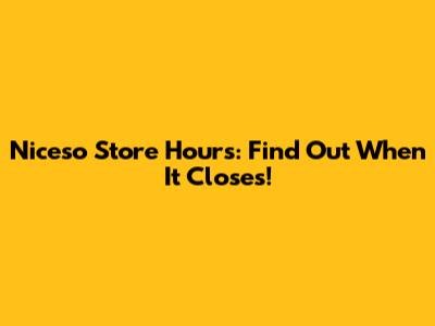 Niceso Store Hours: Find Out When It Closes!