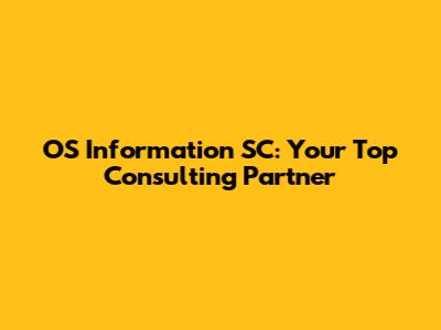OS Information SC: Your Top Consulting Partner