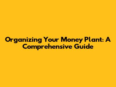 Organizing Your Money Plant: A Comprehensive Guide