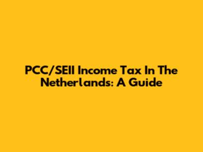 PCC/SEII Income Tax In The Netherlands: A Guide