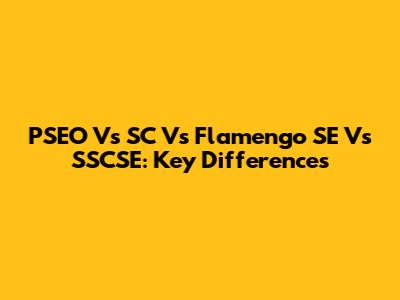 PSEO Vs SC Vs Flamengo SE Vs SSCSE: Key Differences