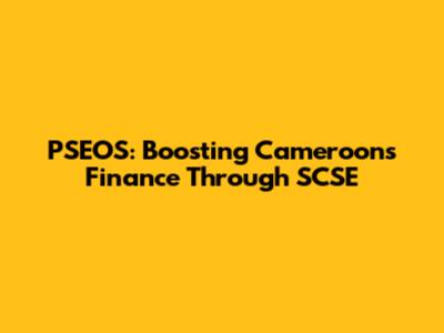 PSEOS: Boosting Cameroon's Finance Through SCSE
