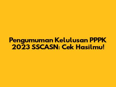 Pengumuman Kelulusan PPPK 2023 SSCASN: Cek Hasilmu!