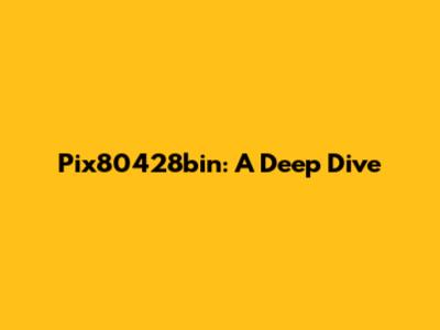 Pix80428bin: A Deep Dive