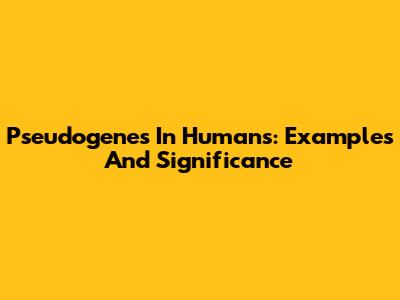 Pseudogenes In Humans: Examples And Significance