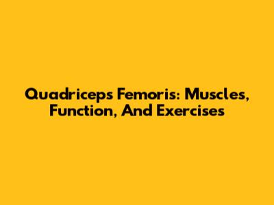 Quadriceps Femoris: Muscles, Function, And Exercises