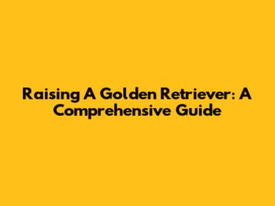 Raising A Golden Retriever: A Comprehensive Guide