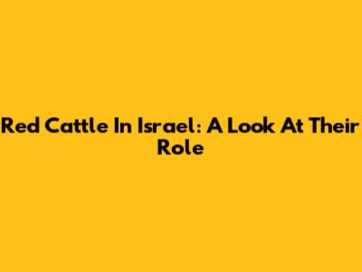 Red Cattle In Israel: A Look At Their Role