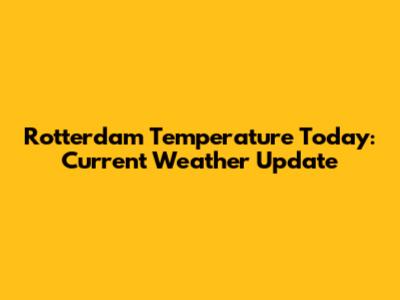 Rotterdam Temperature Today: Current Weather Update