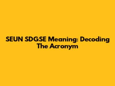 SEUN SDGSE Meaning: Decoding The Acronym