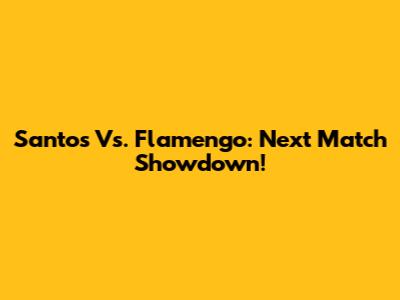 Santos Vs. Flamengo: Next Match Showdown!