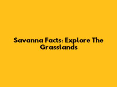 Savanna Facts: Explore The Grasslands