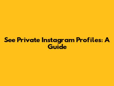 See Private Instagram Profiles: A Guide