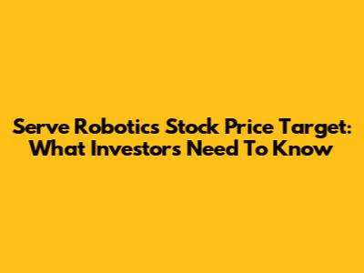 Serve Robotics Stock Price Target: What Investors Need To Know