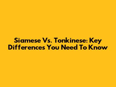 Siamese Vs. Tonkinese: Key Differences You Need To Know