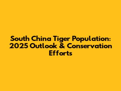 South China Tiger Population: 2025 Outlook & Conservation Efforts