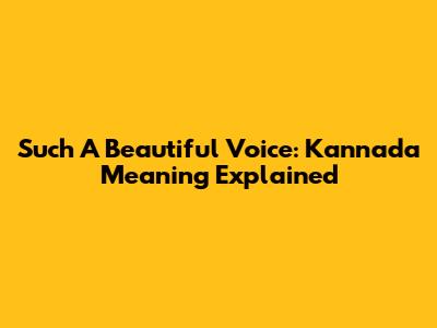 Such A Beautiful Voice: Kannada Meaning Explained