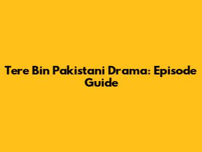 Tere Bin Pakistani Drama: Episode Guide