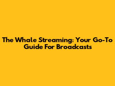 The Whale Streaming: Your Go-To Guide For Broadcasts