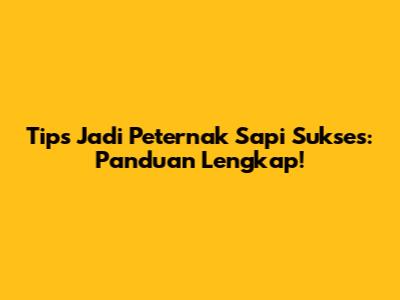 Tips Jadi Peternak Sapi Sukses: Panduan Lengkap!