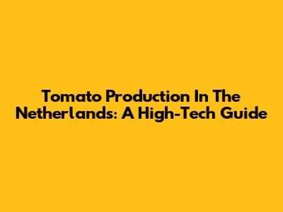 Tomato Production In The Netherlands: A High-Tech Guide