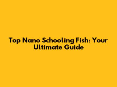 Top Nano Schooling Fish: Your Ultimate Guide