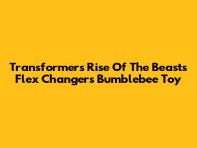 Transformers Rise Of The Beasts Flex Changers Bumblebee Toy